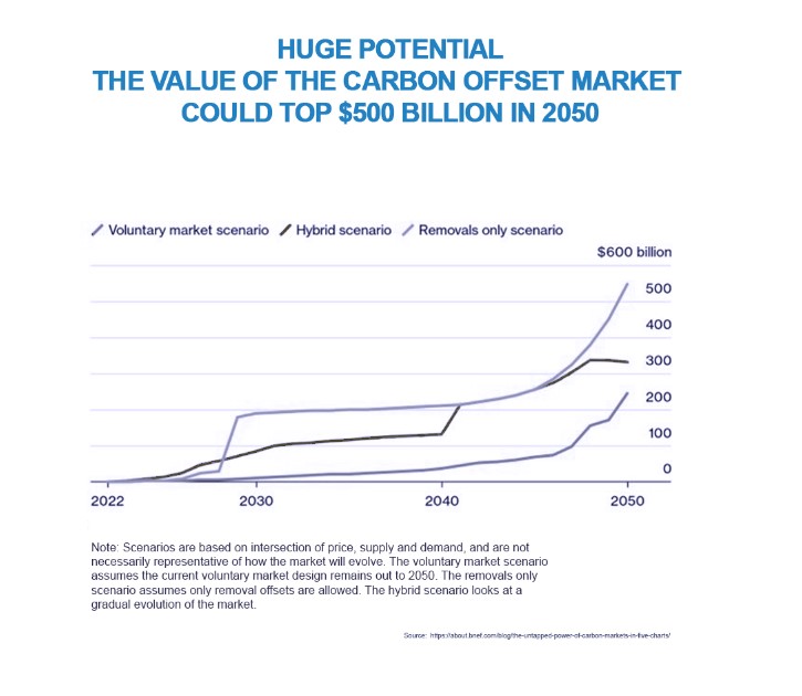 A line chart showing the potential value of the carbon offset market by 2050